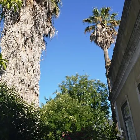 Budget Lisboa